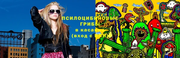 крисы Вяземский