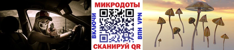 Галлюциногенные грибы мицелий  Гаврилов Посад 